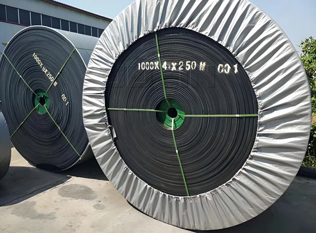 Steel cord conveyor belt3